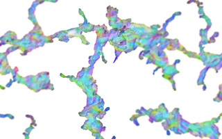 LSD direction vectors